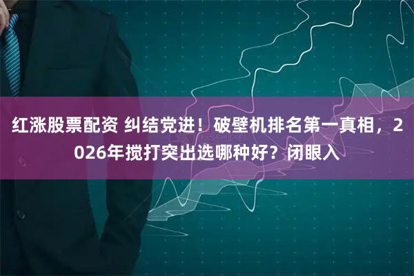 红涨股票配资 纠结党进！破壁机排名第一真相，2026年搅打突出选哪种好？闭眼入