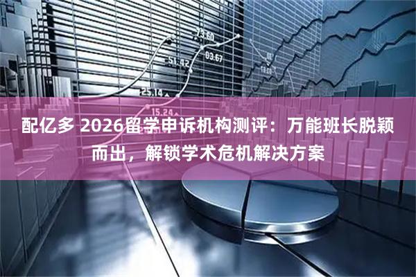 配亿多 2026留学申诉机构测评：万能班长脱颖而出，解锁学术危机解决方案