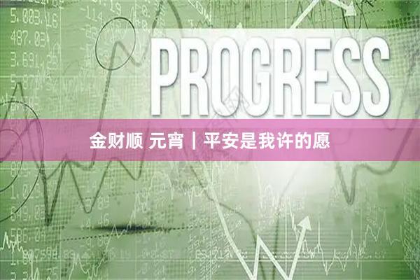 金财顺 元宵｜平安是我许的愿