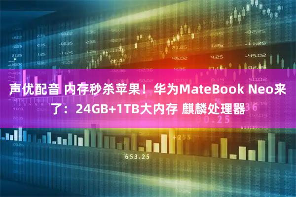 声优配音 内存秒杀苹果！华为MateBook Neo来了：24GB+1TB大内存 麒麟处理器