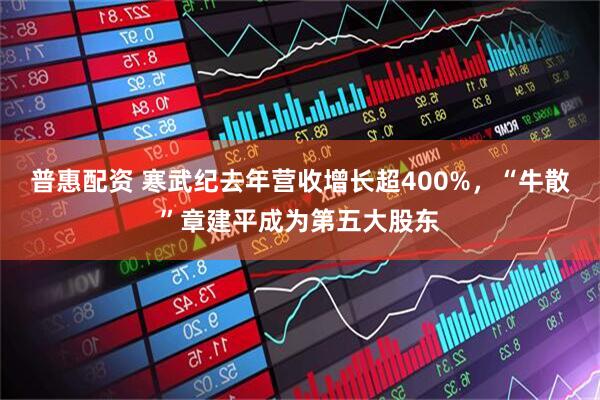 普惠配资 寒武纪去年营收增长超400%，“牛散”章建平成为第五大股东