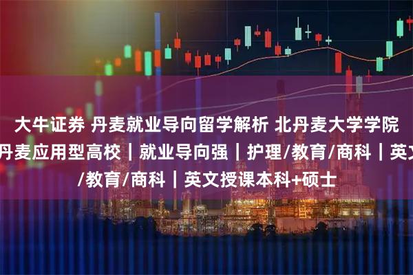 大牛证券 丹麦就业导向留学解析 北丹麦大学学院留学招生简章｜丹麦应用型高校｜就业导向强｜护理/教育/商科｜英文授课本科+硕士