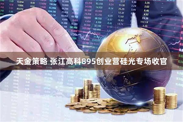 天金策略 张江高科895创业营硅光专场收官