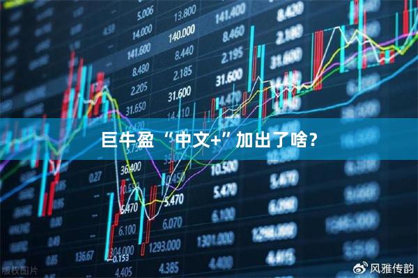 巨牛盈 “中文+”加出了啥？