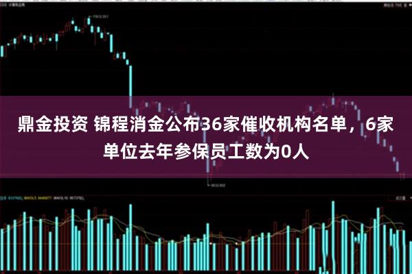 鼎金投资 锦程消金公布36家催收机构名单，6家单位去年参保员工数为0人