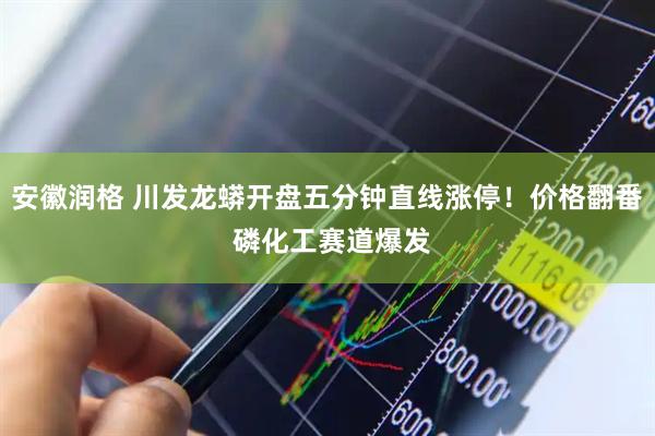 安徽润格 川发龙蟒开盘五分钟直线涨停！价格翻番 磷化工赛道爆发
