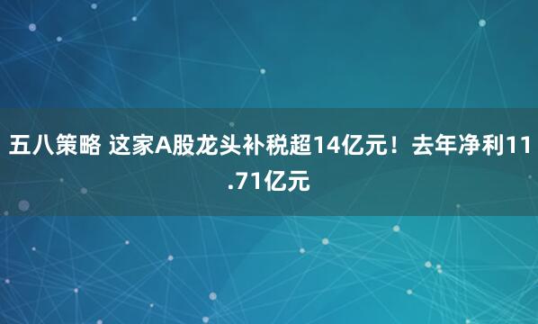 五八策略 这家A股龙头补税超14亿元！去年净利11.71亿元