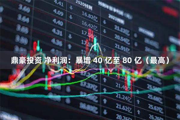 鼎豪投资 净利润：暴增 40 亿至 80 亿（最高）