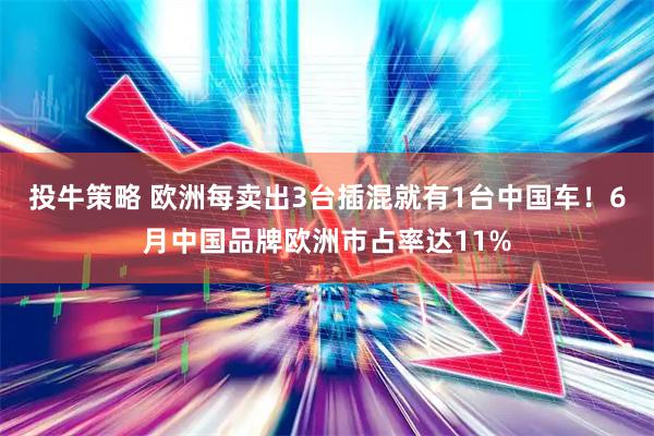 投牛策略 欧洲每卖出3台插混就有1台中国车！6月中国品牌欧洲市占率达11%